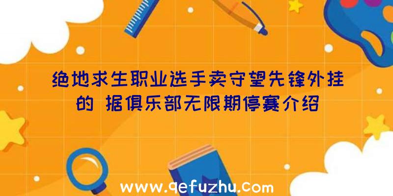 绝地求生职业选手卖守望先锋外挂的